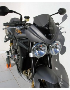 tête de fourche Ermax pour Street Triple 675 R 2009/2010
