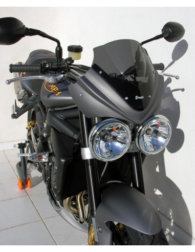 tête de fourche Ermax pour Street Triple 675 R 2009/2010 