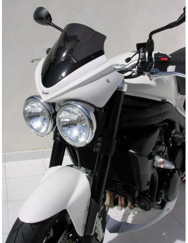 Tete de fourche  Ermax pour SPEED TRIPLE 1050 2008-2010 