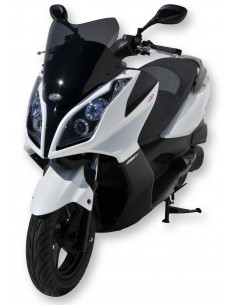 Pare brise sport Ermax pour SUPER DINK 125/300 i 2009-2017