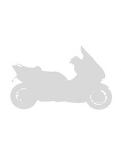 Pare brise scooter sport Ermax pour MP3 2011/2017