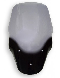 Pare brise haute protection Ermax pour MP3 125-300-400-500 2011/2018  2