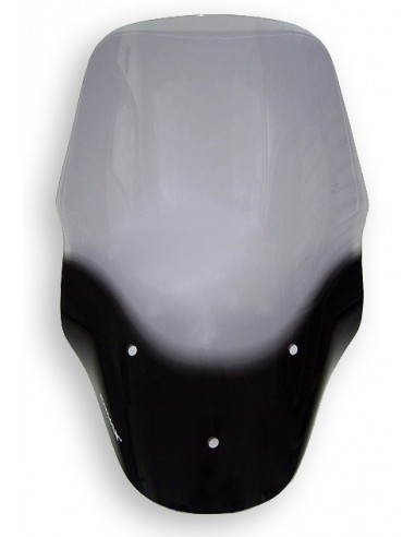 Pare brise haute protection Ermax pour MP3 125-300-400-500 2011/2018 