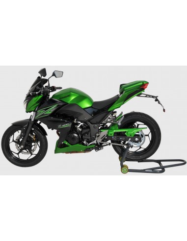garde boue arrière Ermax pour Z 300 2015/2016 