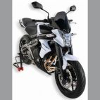 Saute vent sport 33cm ERMAX Kawasaki ER6 N 12-15