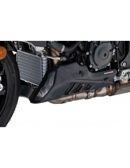 Sabot moteur ERMAX pour MT10/FZ 10 2022 