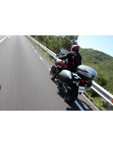 VALISES SH36 CARBON SHAD