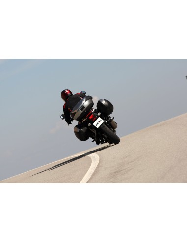 VALISES SH36 CARBON SHAD