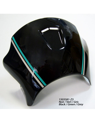 Tête de fourche Ermax pour Z 650 RS...