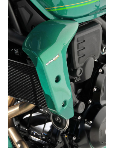 Ecopes Ermax pour Z 650 RS 2022/2023