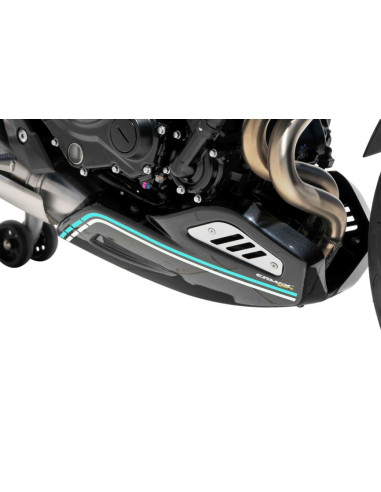 Sabot moteur Ermax pour Z 650 RS...