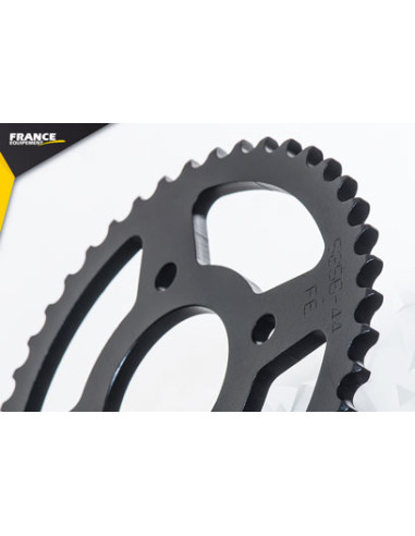 REGAL RAPTOR.125.RAXTER '06 14X44 RK428MXZ µ