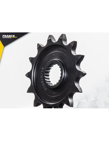 WR.250.F '11/20 14X47 RK520MXZ µ