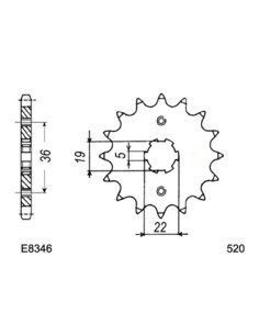 TRX.250 '86/89 13X38 RK520MXZ 2