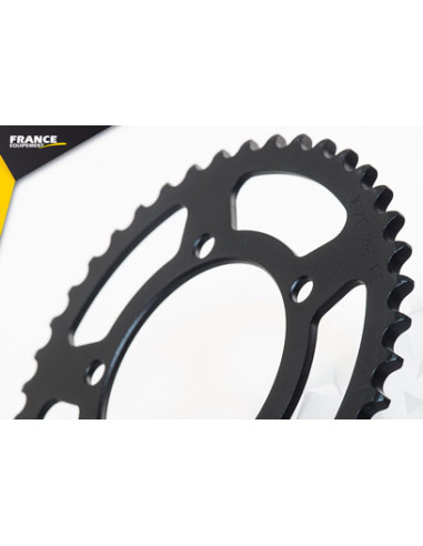 1100.TUONO V4RR/ V4 FACTORY '15/19 15X42 RK525RO *