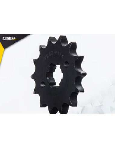 125.FLAT TRACK '18/20 14X61 428H µ