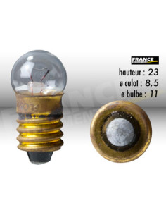 AMPOULE TEMOIN CULOT VIS E10 6V2W