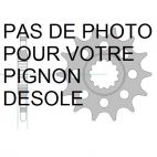 Kit chaine DID  ALU DUCATI 1199 PANIGALE  520 R for PCD4 2013 à 2014