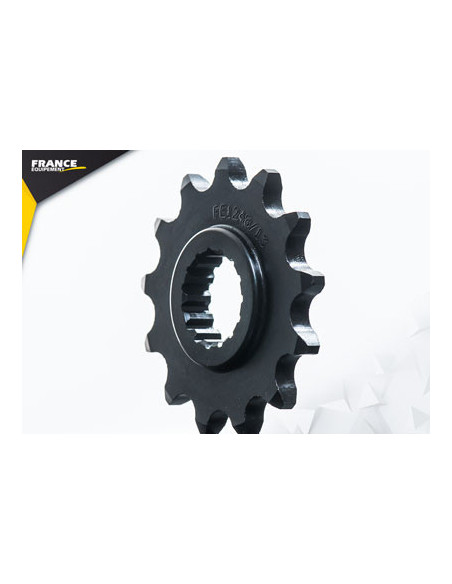 250.TE/TE I '22/23 13X52 RK520SO