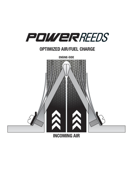 Clapets BOYESEN Power Reeds - 612