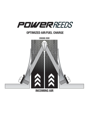 Clapets BOYESEN Power Reeds - 619