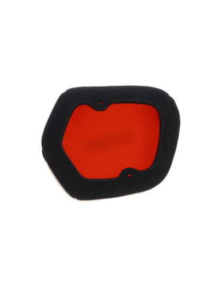 Filtre à air TWIN AIR - 154225