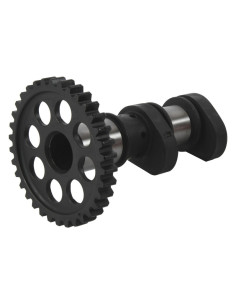 Arbre à cames admission HOT CAMS - Niveau 2 2