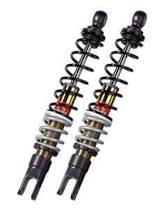 Bi-amortisseur arrière BITUBO YGB0 2