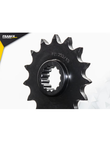 690.ENDURO / R '19/21 15X46 RK520FEX *