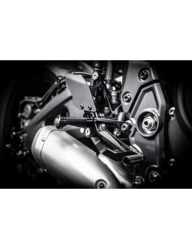 Commandes reculées ajustables GILLES FXR