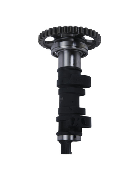 Arbre à cames simple HOT CAMS - niveau 2