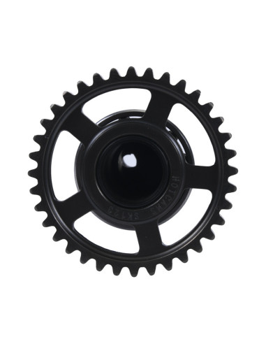 Arbre à cames simple HOT CAMS - niveau 2