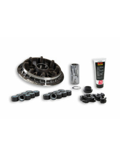 Variateur MALOSSI Multivar...