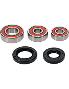 Kit roulements de roue ALL BALLS 2