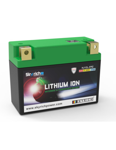 Batterie SKYRICH Lithium-Ion - HJ12L-FPZ