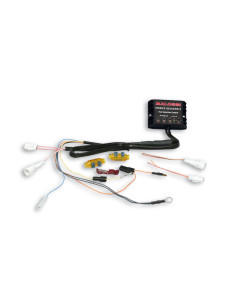 Boîtier électronique MALOSSI Force Master 2 2