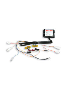 Boîtier électronique MALOSSI Force Master 2 pour cylindre I-Tech 4T 2