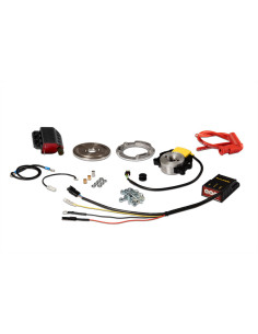 Allumage MALOSSI MHR Team II rotor interne 2