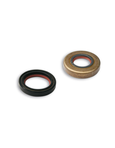 Jeu de joints spis MALOSSI FKM/PTFE - vilebrequin Minarelli-Yamaha 50cc Moto