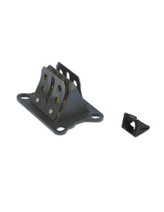 Clapet MALOSSI VL6 karbonit 0,30 2