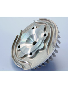 Culasse POLINI Evolution 2