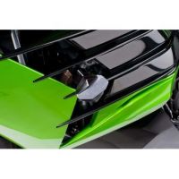 Protection moteur PUIG R12...