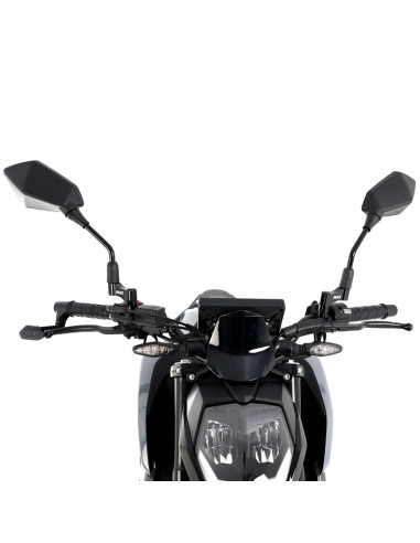 Extensions de rétroviseur R&G RACING pour rétroviseurs à filetage M10 x 1,25 RH Extensions de rétroviseur R&G RACING pour rétroviseurs à filetage M10 x 1,25 RH