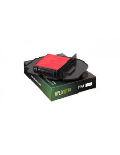 Filtre à air  HIFLOFILTRO  HFA1909
