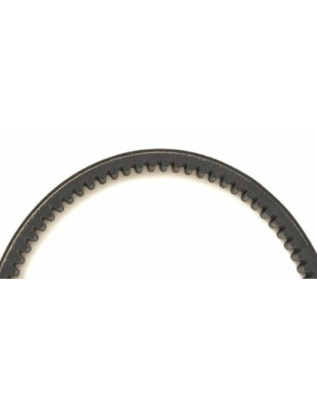 Courroie de transmission MITSUBOSHI Premium Courroie de transmission MITSUBOSHI Premium