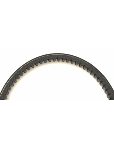 Courroie de transmission MITSUBOSHI Premium Courroie de transmission MITSUBOSHI Premium