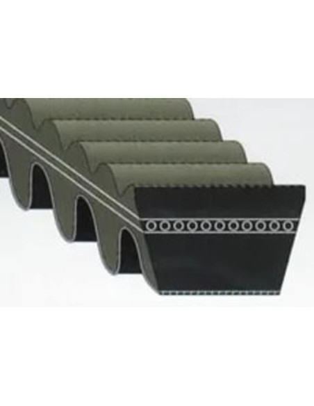 Courroie de transmission BANDO Premium Variomatic Courroie de transmission BANDO Premium Variomatic