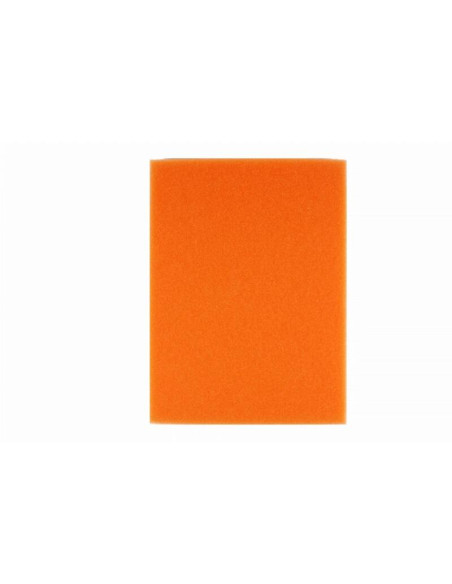 Filtre à air TWIN AIR - 152451