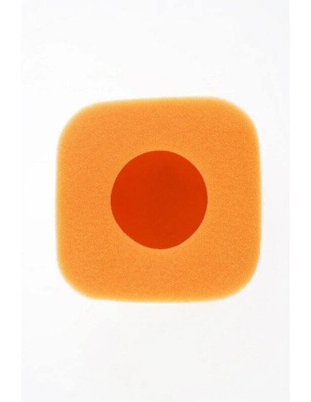 Filtre à air TWIN AIR - 152502