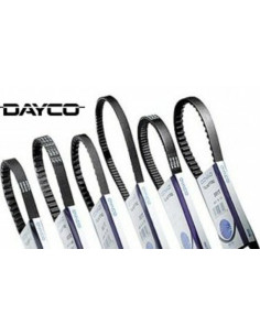 Courroie de transmission DAYCO standard 2